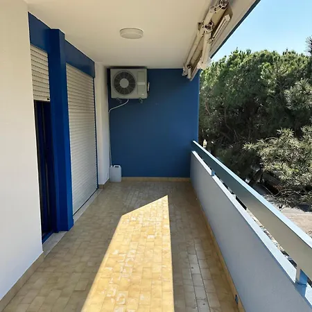 Vera Cruz Gemini *