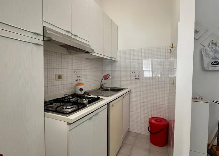 Vera Cruz Gemini * Бибионе